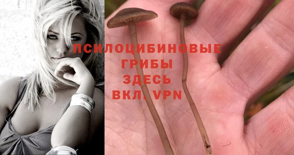 мескалин Алексеевка